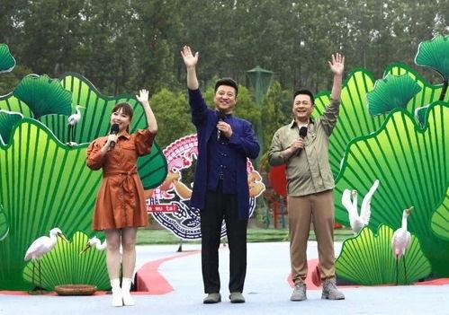 美国税局最新爆料视频,深度解析税务改革与隐私保护  第2张