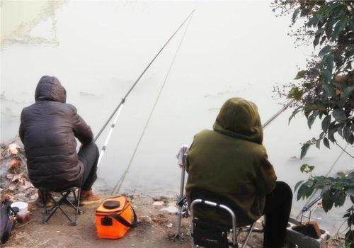 钓鱼爆料视频,视频爆料钓鱼技巧大公开  第1张