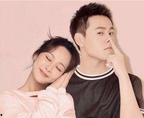 圈内人爆料杨紫肖战最新,神秘新剧引期待 第3张 圈内人爆料杨紫肖战最新,神秘新剧引期待 第3张